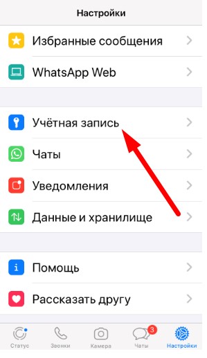 Ватсап о прочтении. Отчёт о прочтении в ватсапе что это. Отчёты о прочтении в WHATSAPP. Отчёт о прочтении в ватсапе айфон. Отключить отчет о прочтении в WHATSAPP.